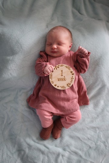 Ccf33fc7 ef4b 44c6 9139 11c6257d8add